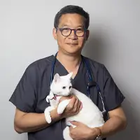 Dr Doan Tran - Vétérinaire associé