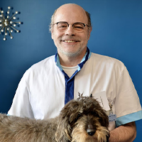 Dr Vincent LESEUR - Vétérinaire