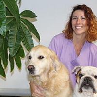 Elodie - Responsable auxiliaire spécialisée vétérinaire