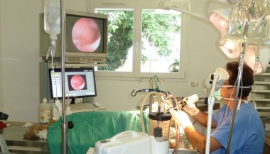 Chirurgie vidéo-assistée d’un abcès de la glande salivaire - Clinique du Vernet