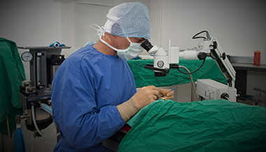 Chirurgie de l’œil sous microscope opératoire - Clinique vétérinaire du Vernet