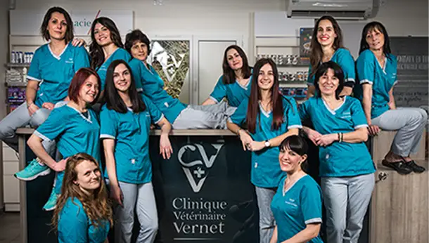 Equipe vétérinaire - Clinique du Vernet