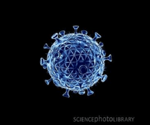 Virus de l’immunodéficience féline (FIV du chat) ©science photo library