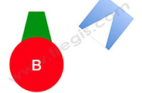 schema groupe sanguin B