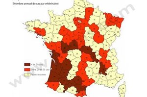 2. Piroplasmose du chien, zone de répartition géographique en 2005 en France​