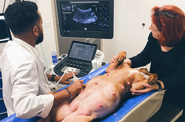 L’échographie abdominale permet d’identifier les anomalies associées (hydronéphrose et dilatation de l’uretère ectopique) et de visualiser dans certains cas un uretère ectopique