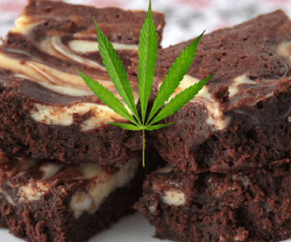 Le space cake est souvent en cause dans l’intoxication du chat par le cannabis.