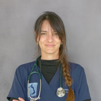 Dr Anderco - Docteur Vétérinaire