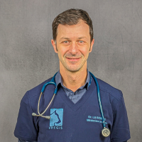 Dr Le Boedec - Docteur Vétérinaire
