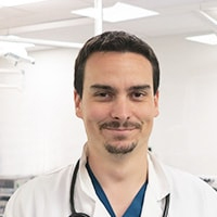 Dr Cambournac - Docteur Vétérinaire