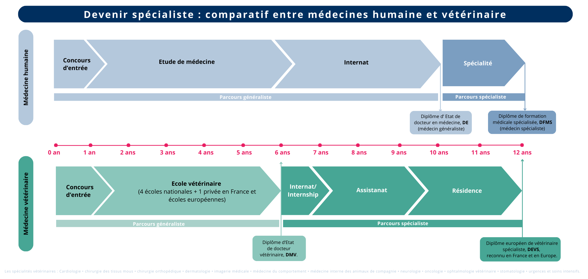 parcours d'étude : comparatif