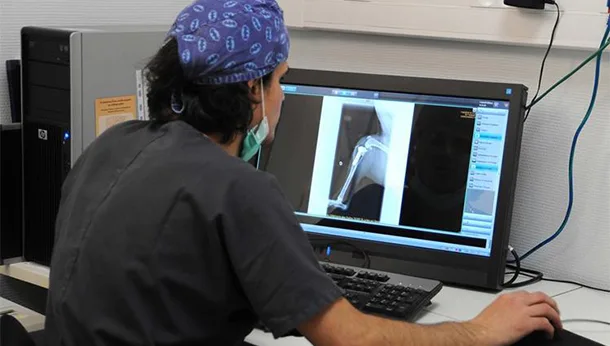 Radiologie, clinique vétérinaire des Hutins