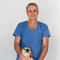 Jean-Christophe Le Gressus - Veterinary Surgeon