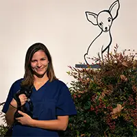 Dr Elise SWAELES - Docteur vétérinaire