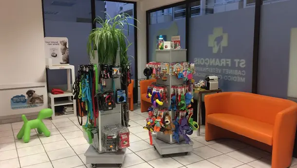 salle d'attente et jouets animaux