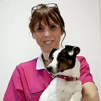 Laurence  - Auxiliaire de santé vétérinaire