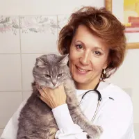 Dr Le Tréguilly - Vétérinaire