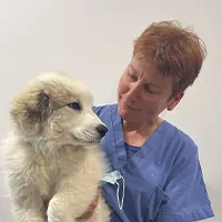 Dr Charlier - Vétérinaire