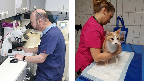 Laboratoire d’analyses et soins post-op Clinique vétérinaire Foch à Meaux