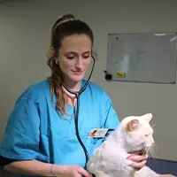 Dr Juliette LAFITTE - Docteur vétérinaire