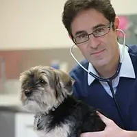 Dr. Bembaron David - Vétérinaire consultant