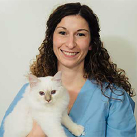 Dr. Schillewaert Anne-Claire - Vétérinaire