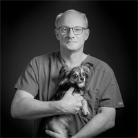 Docteur Bernard Croisier - Vétérinaire Associé