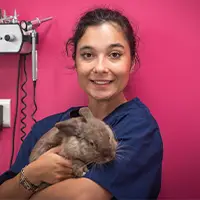Amélie Buonomo - Auxiliaire de santé vétérinaire, référente Cat Friendly