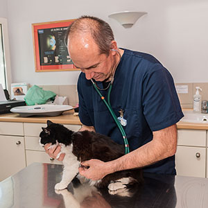 Veterinaire avec chat noir - Clinique veterinaire VetOvalis