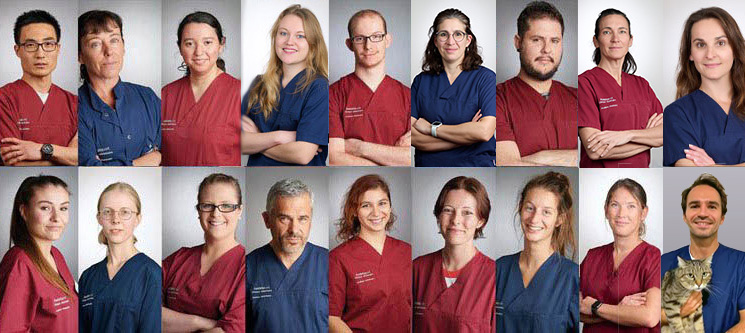 Photo equipe assistavet juillet 2025