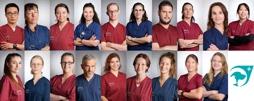 equipe janvier 2025