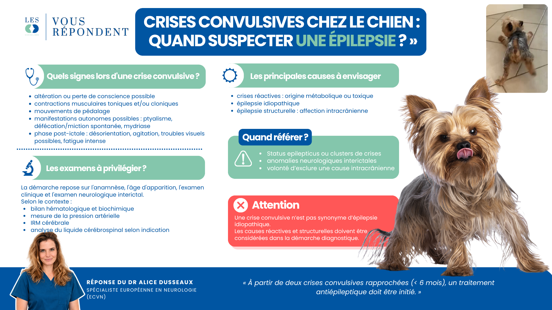 Fiche du CHV des Cordeliers sur les crises convulsives chez le chien : signes, causes, examens et indications de référé.