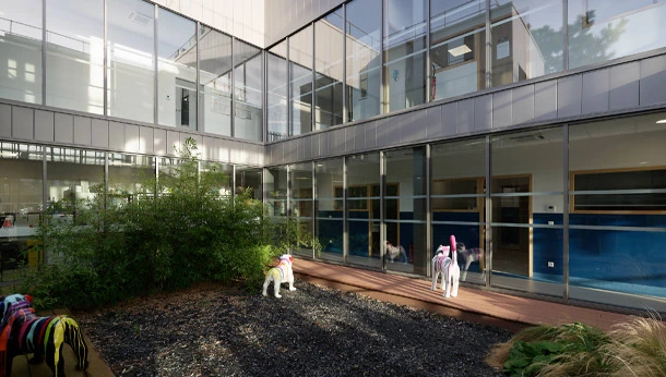 cours intérieur du chv de cordeliers