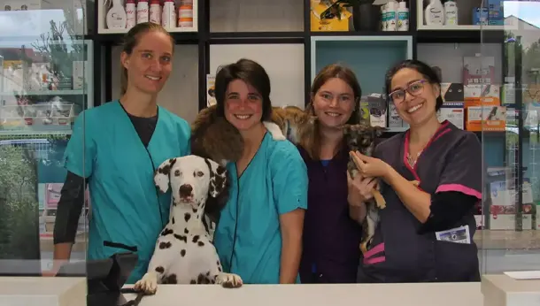 Equipe de la Clinique vétérinaire des Fauvettes à Domont