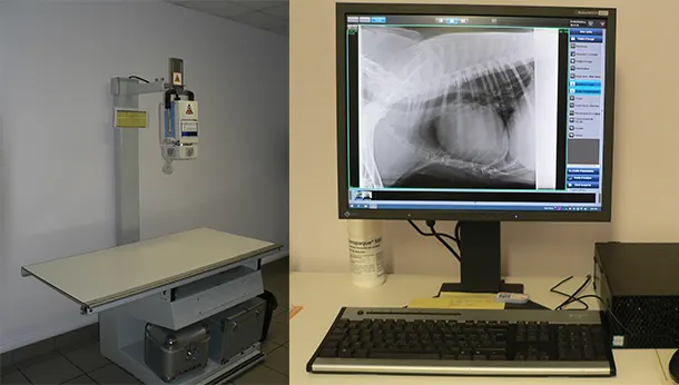 Radiographe de la clinique vétérinaire des Forges à Vierzon