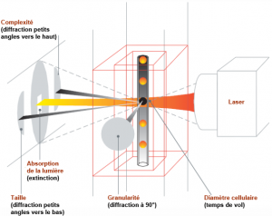 Le catalyst: l'analyseur de biochimie le plus complet