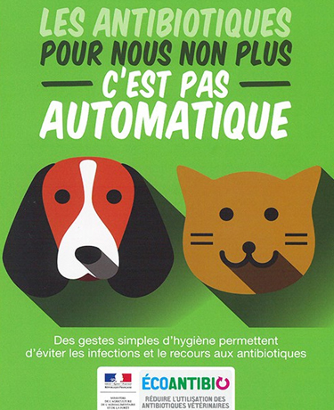 Affiche: "pour nous non plus, les antibiotiques c'est pas automatique"