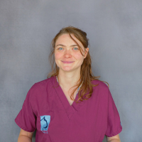 Caroline - Auxiliaire Spécialisée Vétérinaire