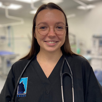 Dr Lajoie - Intern