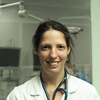 Dr Flageollet - Docteur Vétérinaire