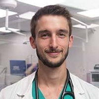 Dr Robin - Docteur Vétérinaire