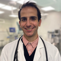Dr Amalbert - Docteur Vétérinaire