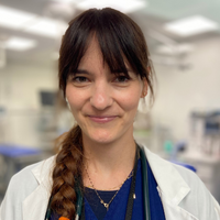 Dr Anderco - Docteur Vétérinaire