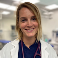 Dr Jourdan - Docteur Vétérinaire