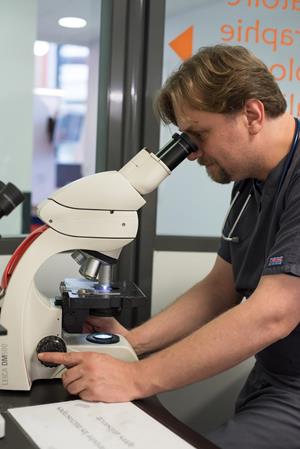 Laboratoire d'analyses, clinique vétérinaire des Hutins