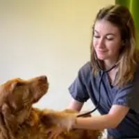 Dr Agathe VELLEMANS - Vétérinaire