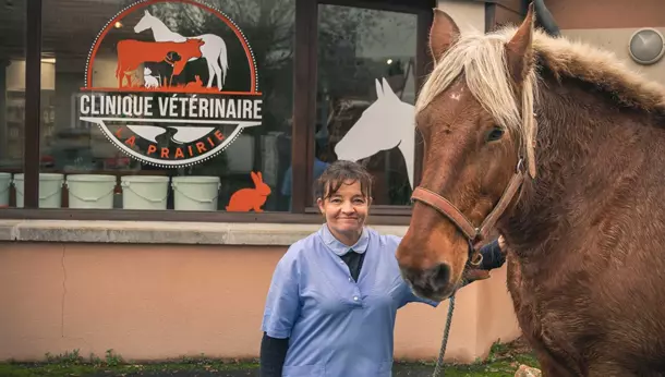 Vet avec cheval