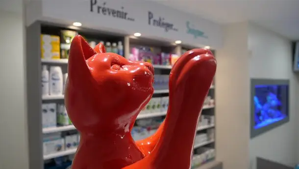 Statue chat rouge