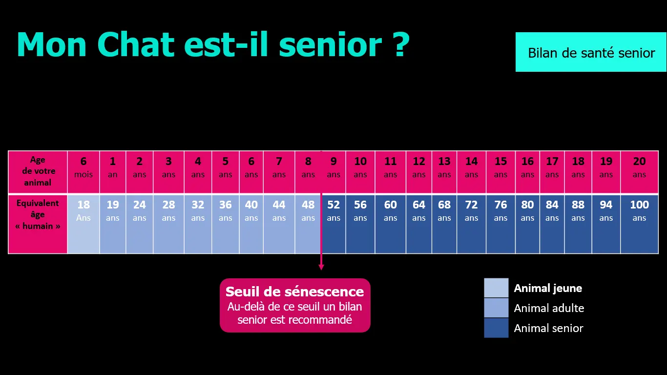 mon chat est-il sénior? Tableau