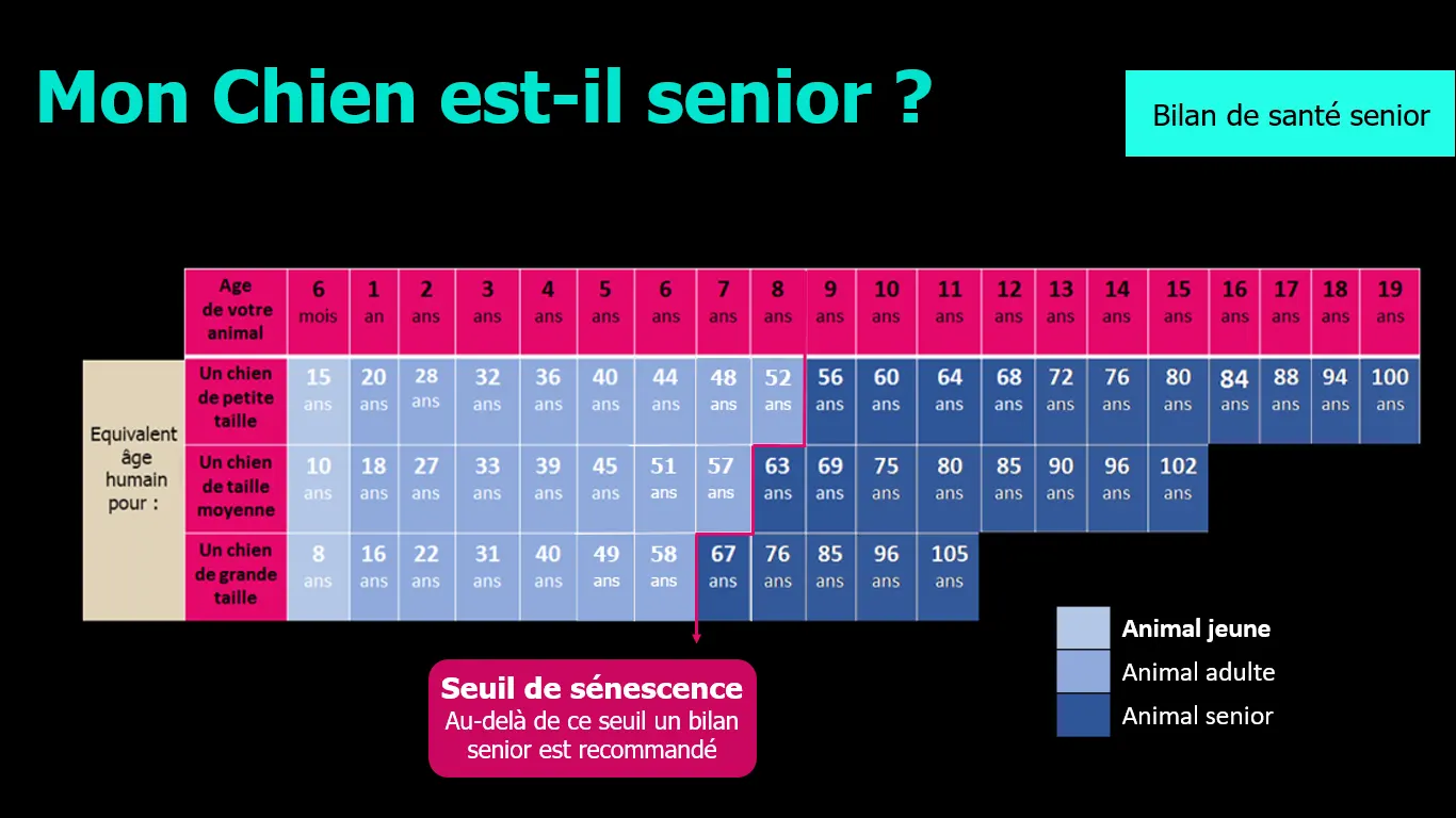 mon chien est-il sénior? Tableau